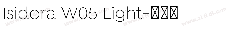 Isidora W05 Light字体转换